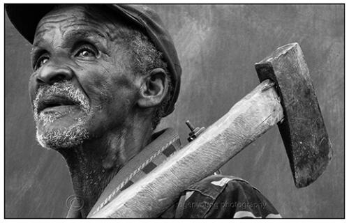 kiwiet the woodcutter